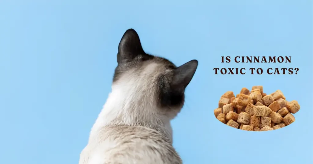Is cinnamon toxic to cats?