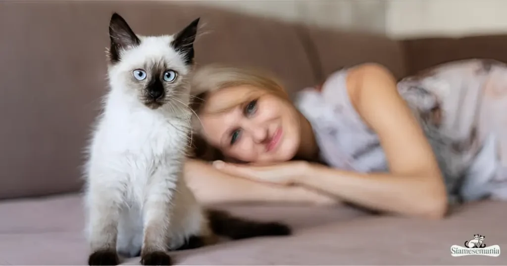 why does my siamese cat meow so much