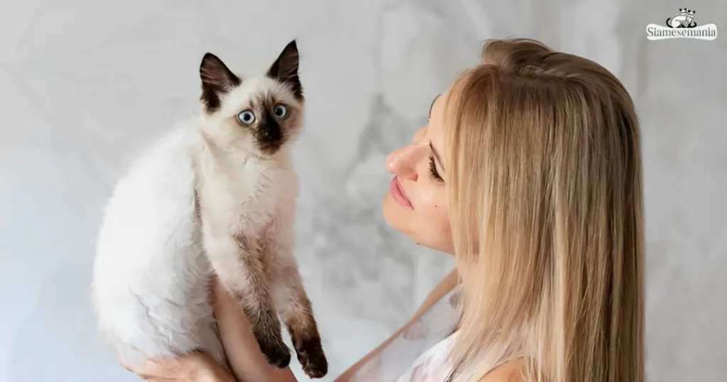 why does my siamese cat meow so much