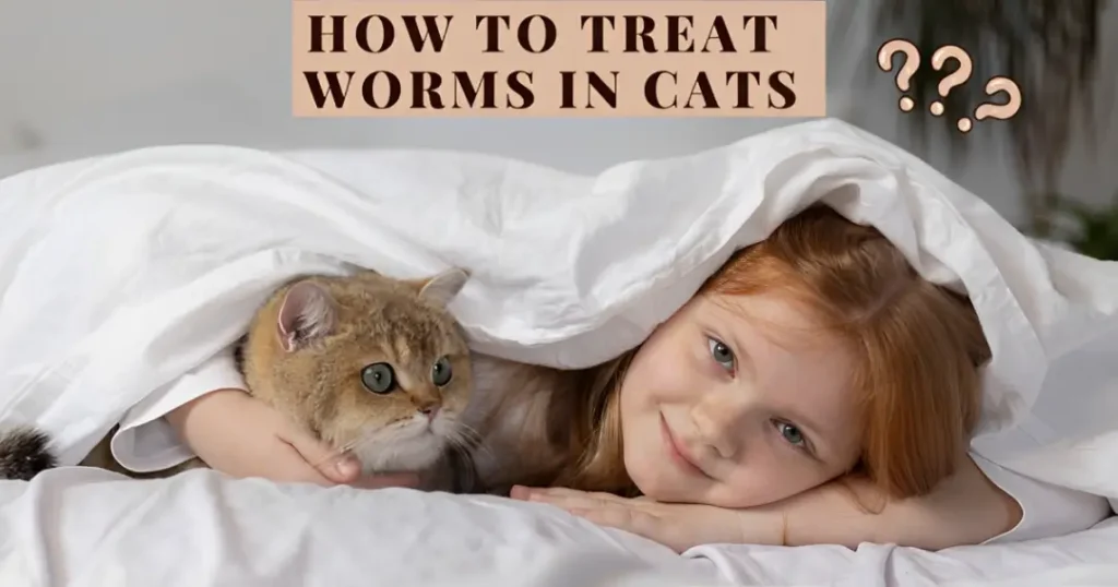 How to Treat Worms in Cats - can i get worms from my cat sleeping in my bed

