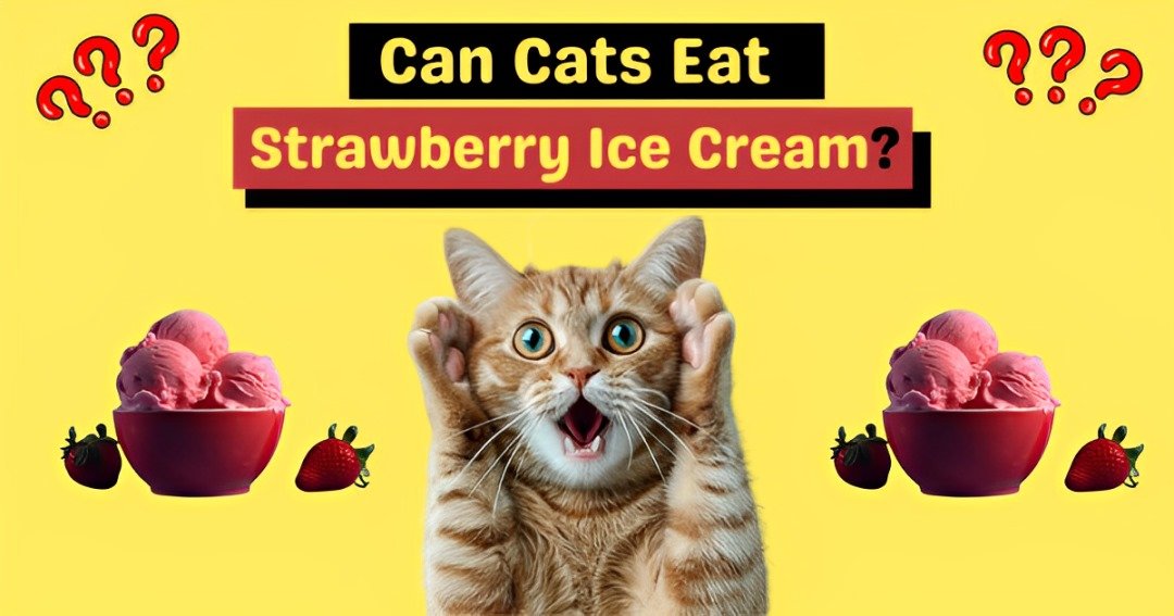 can cats have strawberry ice cream